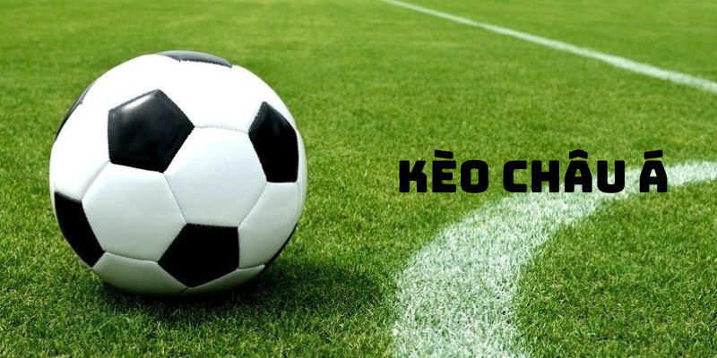 So sánh kèo châu Á với tỷ lệ tài xỉu